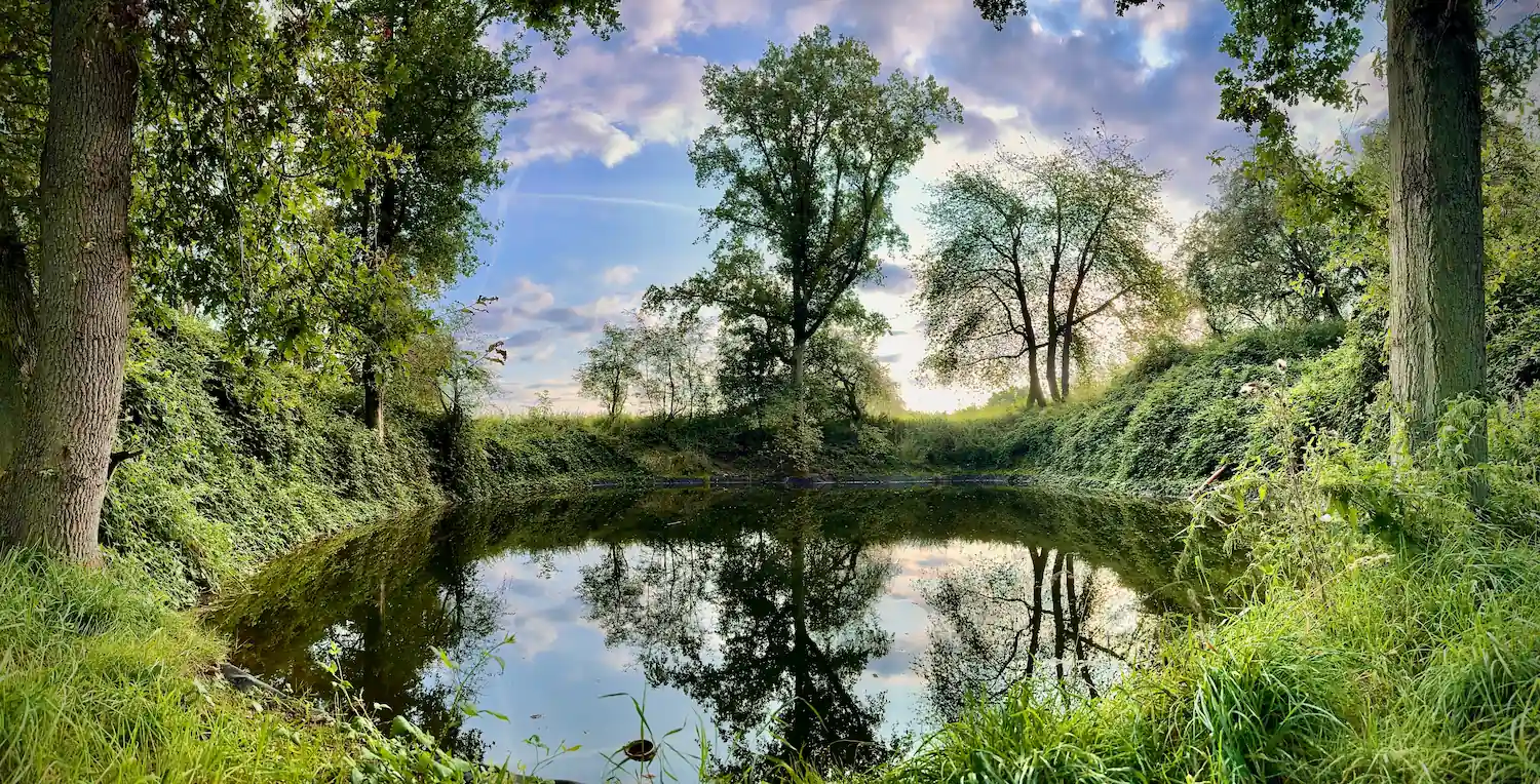 Riviere Feraux - étang