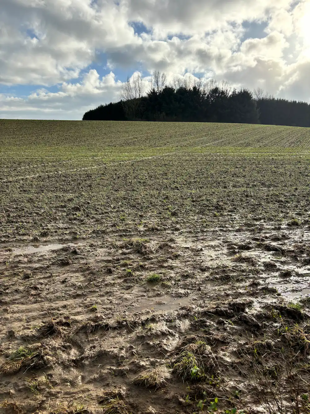 Rivière Féraux - paysage et champ gorgé d'eau