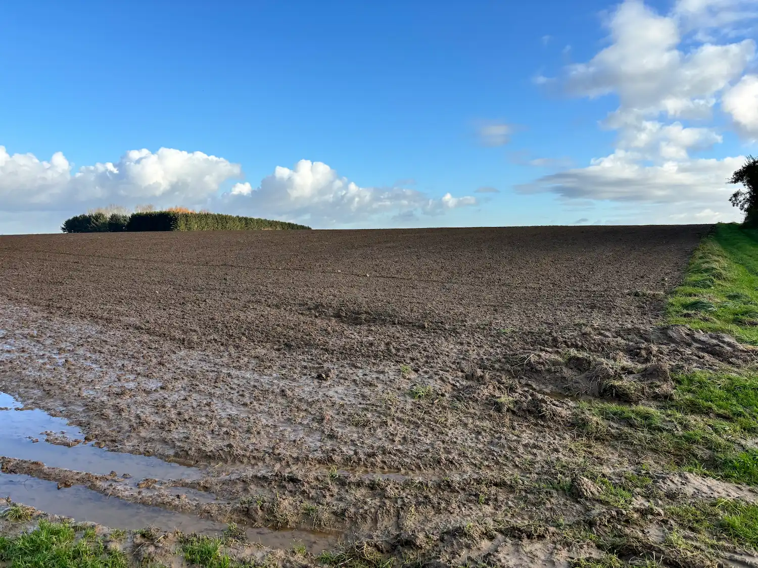 Rivière Féraux - keyline design - champ engorgé