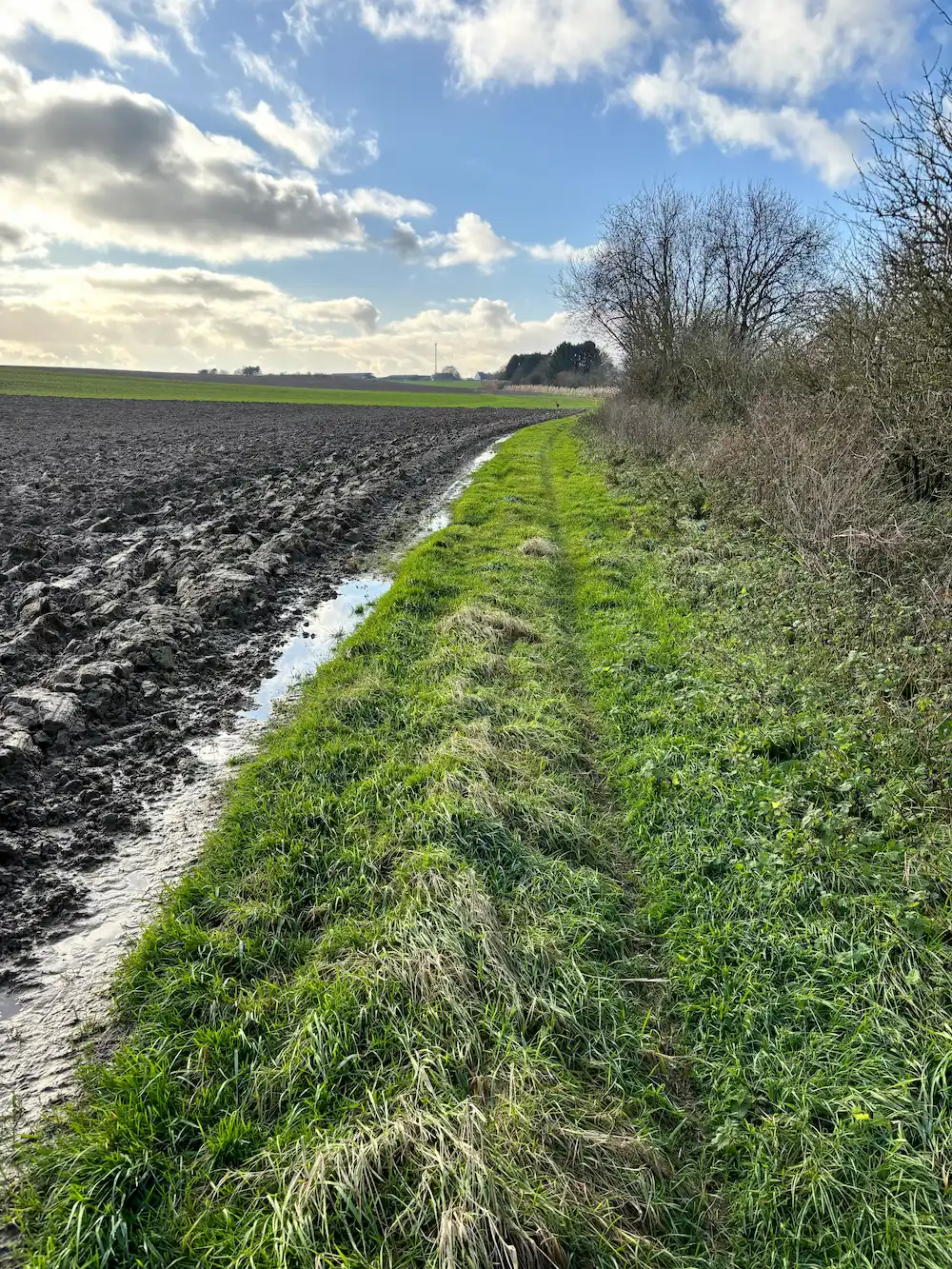 Rivière Féraux - keyline design - champ labouré gorgé d'eau