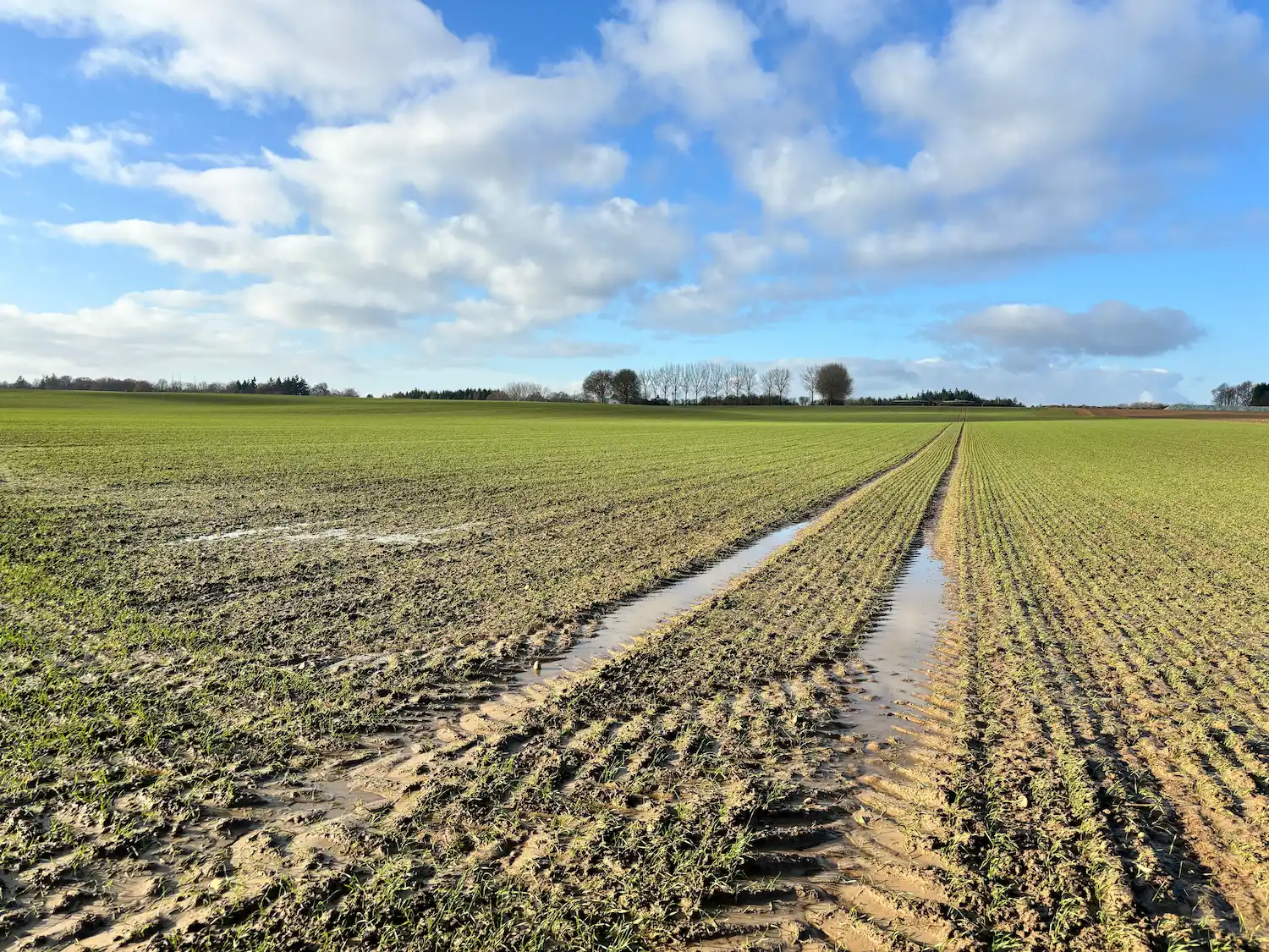 Rivière Féraux - keyline design - champ gorgé d'eau