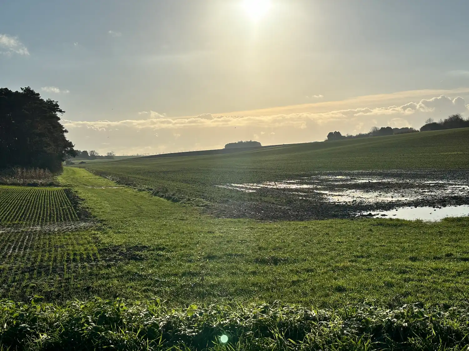 Rivière Féraux - keyline design - champ gorgé d'eau et couché de soleil