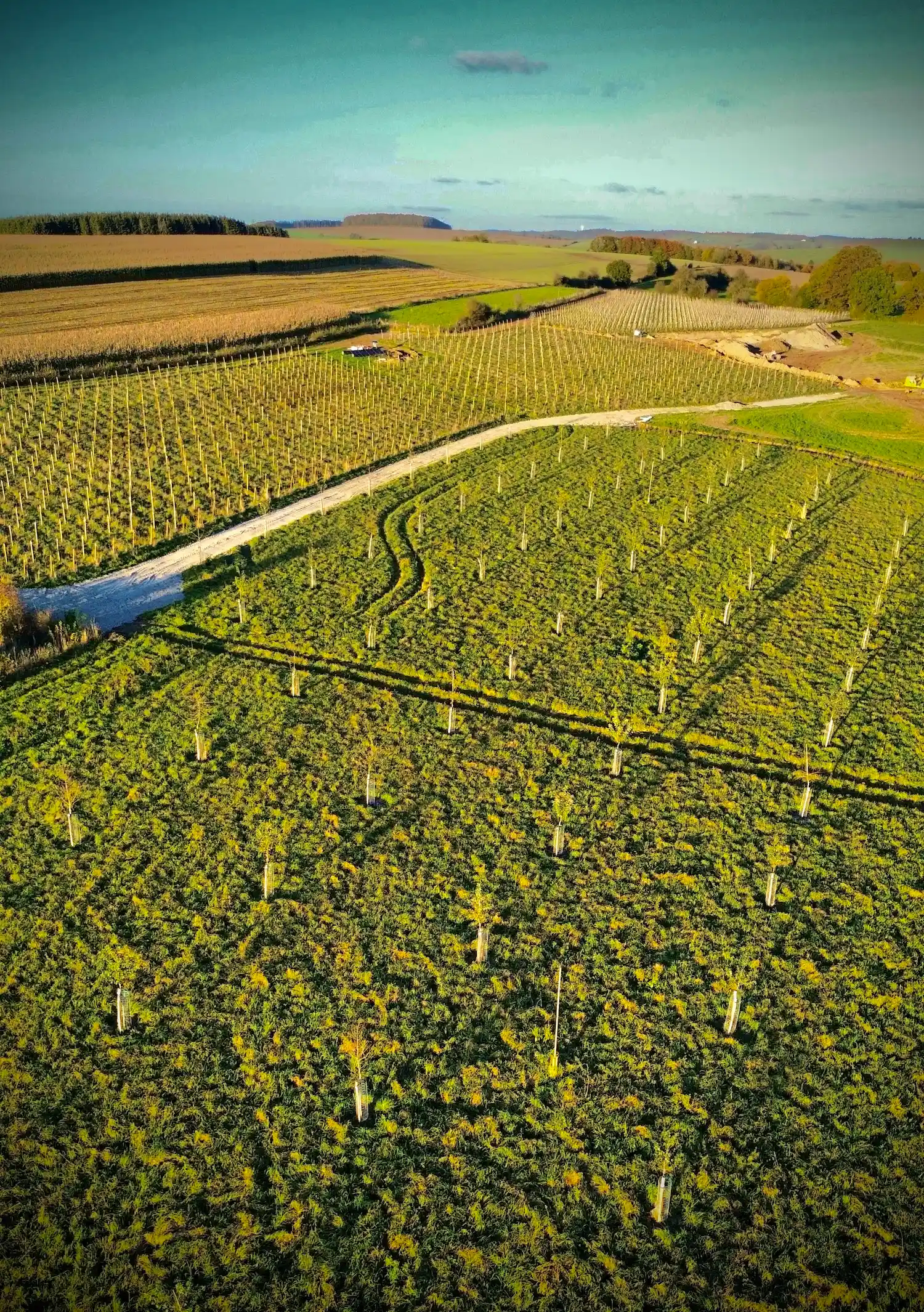 agrilandscape-riviere-feraux-vignoble-agroecologique00018