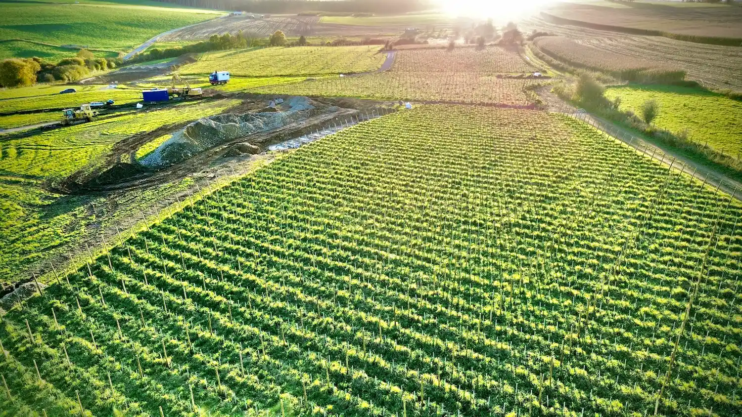 agrilandscape-riviere-feraux-vignoble-agroecologique00020