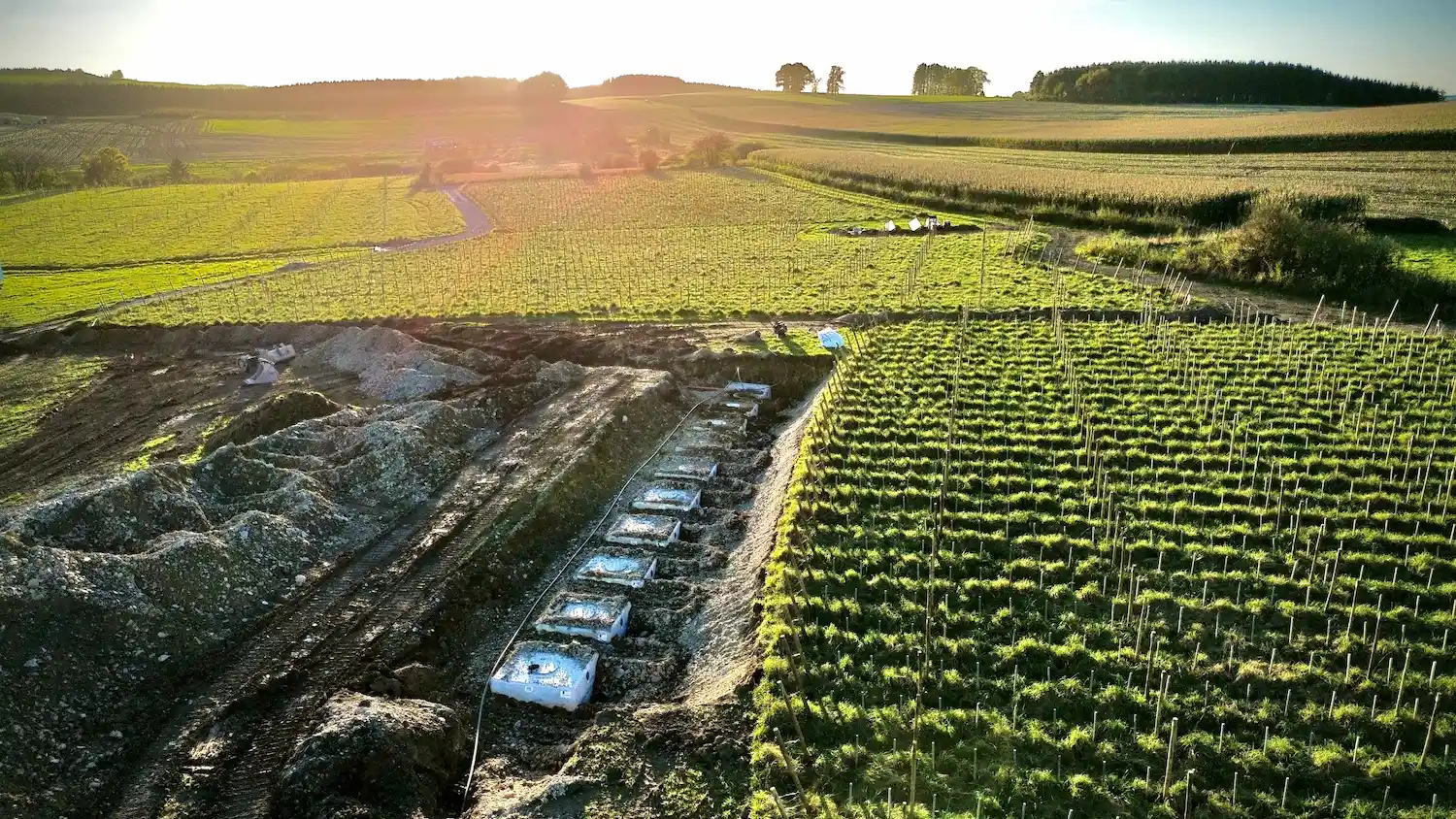 agrilandscape-riviere-feraux-vignoble-agroecologique00023