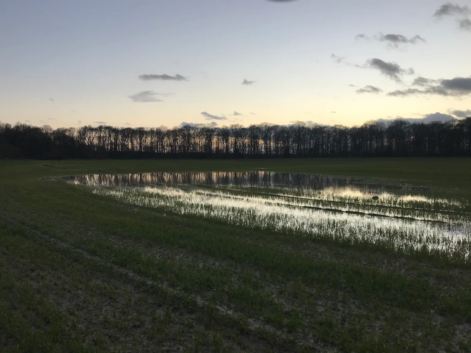 riviere-feraux-keyline-hectar12