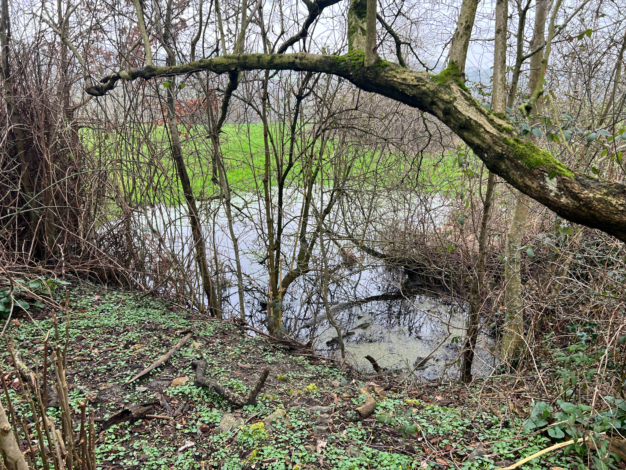 Rivières- Liège-bassin hydrologique