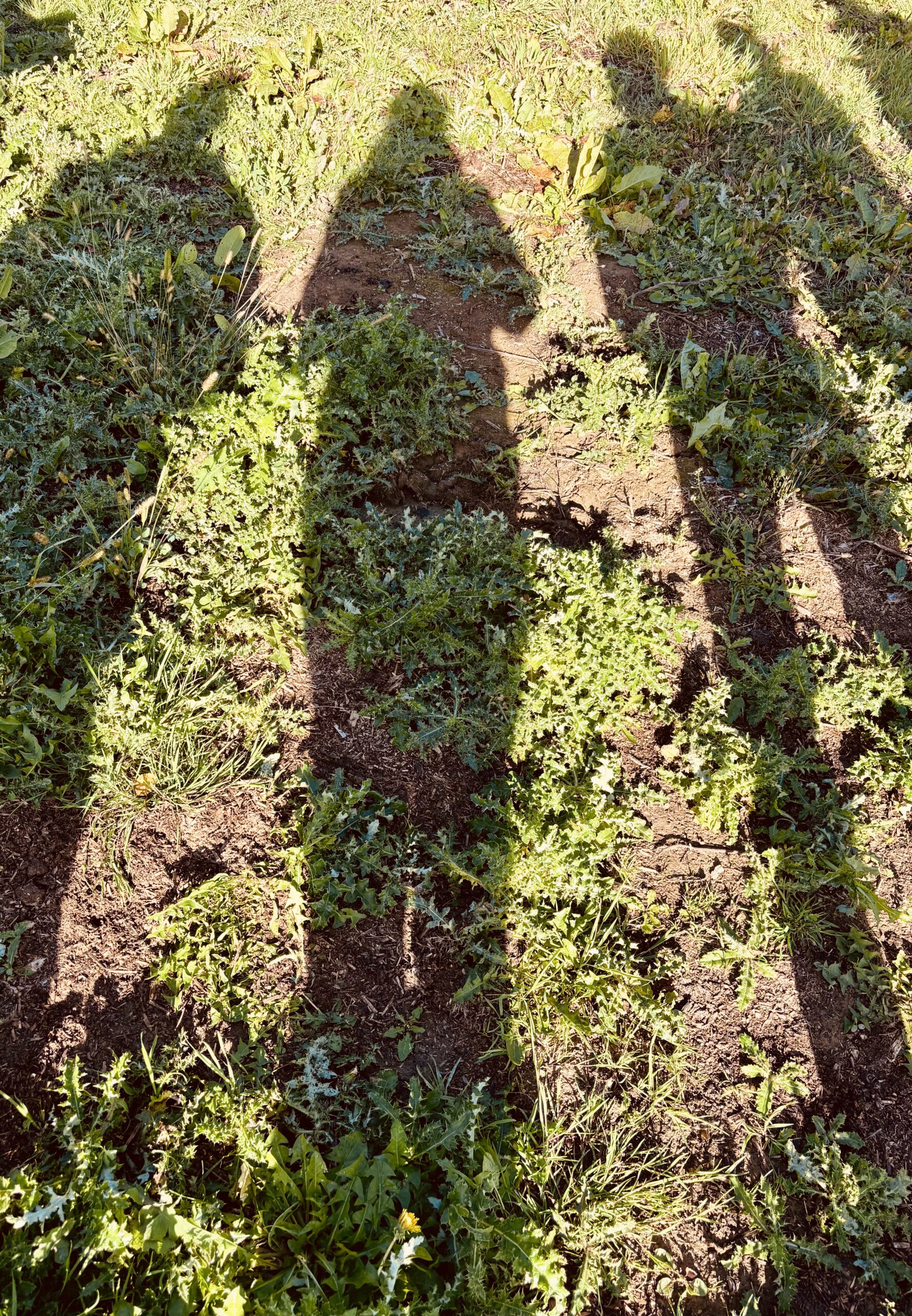 Rivières.be équipe agroécologie